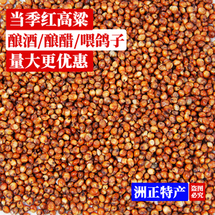 小红高粱100斤酿酒带皮高粱50kg喂鸽子25kg鸽粮食A级去壳优质精选