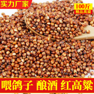 红高粱100斤带皮高粱50kg酿酒喂鸽子粮食酿醋去壳高粱米40斤新粮