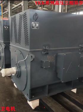 山东厂家直供 Y450-4/710W-6V Y系列高压三相异步电动机