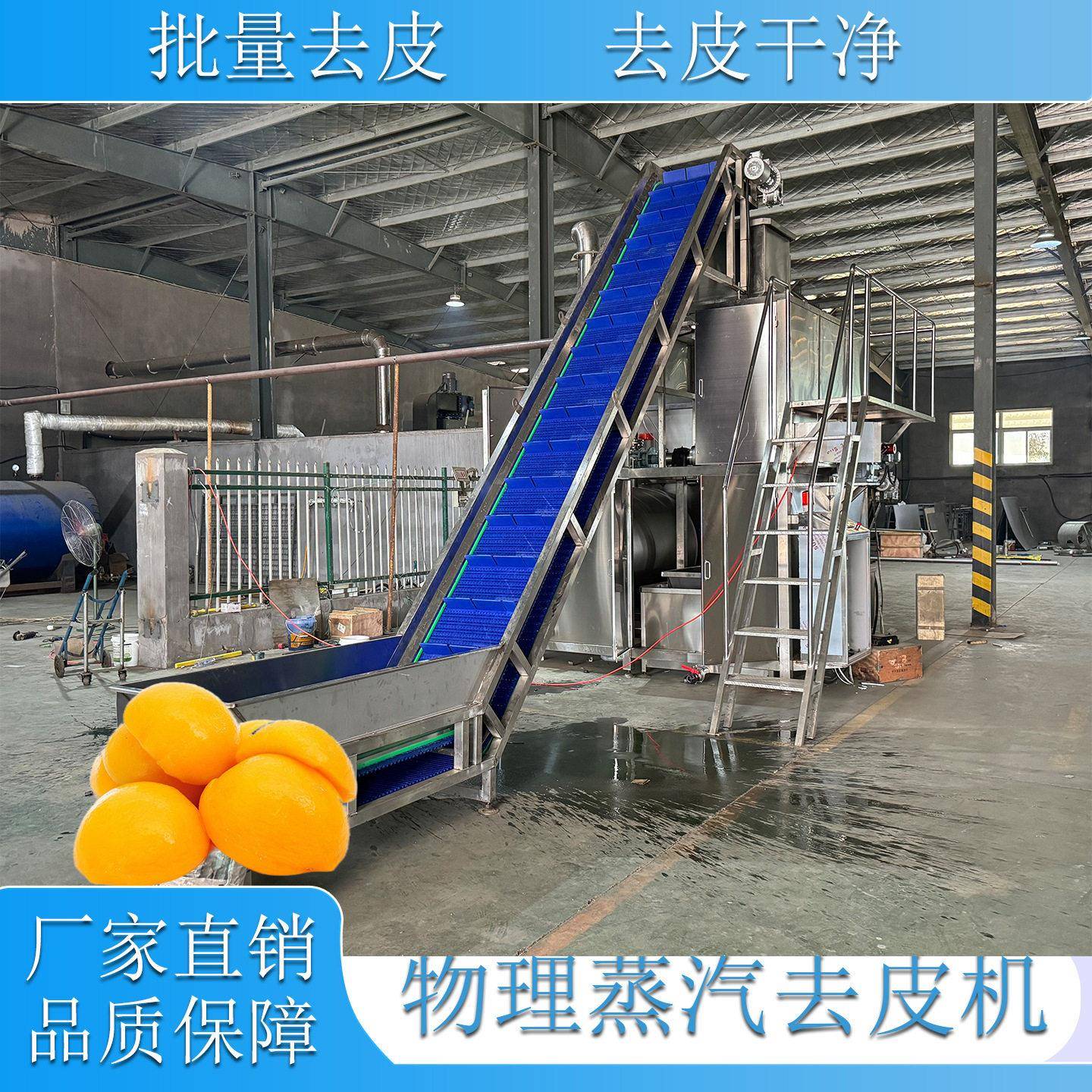 薯条薯片全套加工流水线去皮设备 生姜削皮机 黄桃蒸汽去皮机