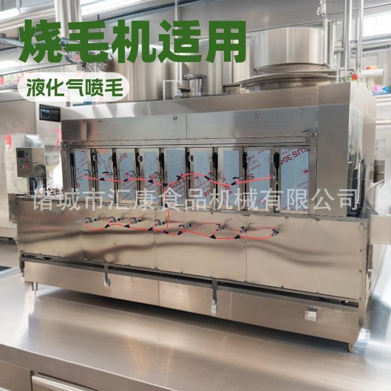 电子打火设 降温式猪蹄烧毛机 耐高温网带鸡鸭头喷毛机 价格优惠