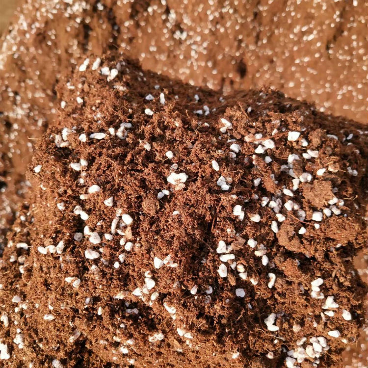 草莓种植土多肉蔬菜月季花卉土泥炭珍珠岩蛭石种花土