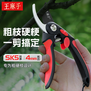 王麻子园艺剪刀修枝剪水果葡萄鲜玫瑰花卉剪花艺剪插花师花店专用
