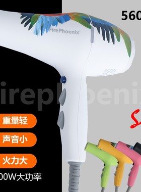 火之凤 金刚鹦鹉 5600A 大功率 沙龙 专用 吹风机 专业 电吹风
