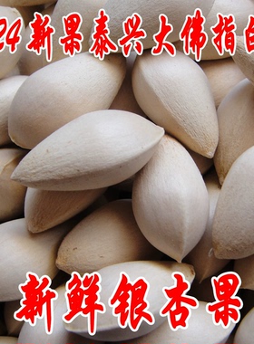 2024年生白果银杏果新鲜特一级泰兴大白果带壳无漂白食用干货煲汤