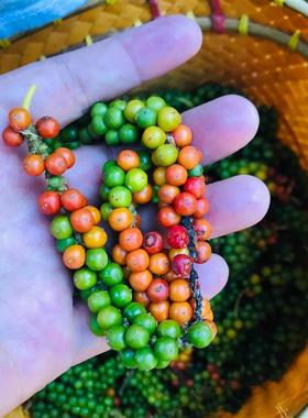 马来西亚砂拉越白胡椒粒WHITE PEPPER CORNS猪肚汤调味料