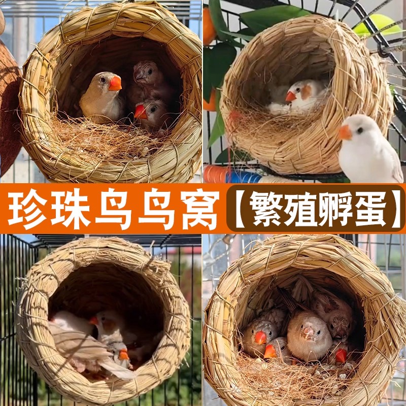 珍珠鸟鸟窝四季通用文鸟繁殖箱下蛋鹦鹉专用睡觉草窝鸟巢用品大全