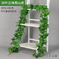 36 5 Ye Lizi поднимается на тигр 5