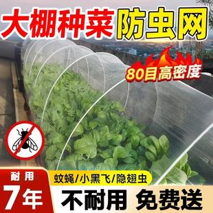 防虫网大棚专用纱网80目加厚尼龙种蔬菜果树农用防蚊鸟养殖场网罩