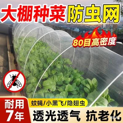防虫网种菜专用防虫纱网批发
