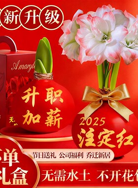 蜡封朱顶红种球出口重瓣特大注定红多年生无养护懒人花卉多季开花