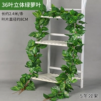 36 5 Листовые листья зеленых листьев 5 листьев 5