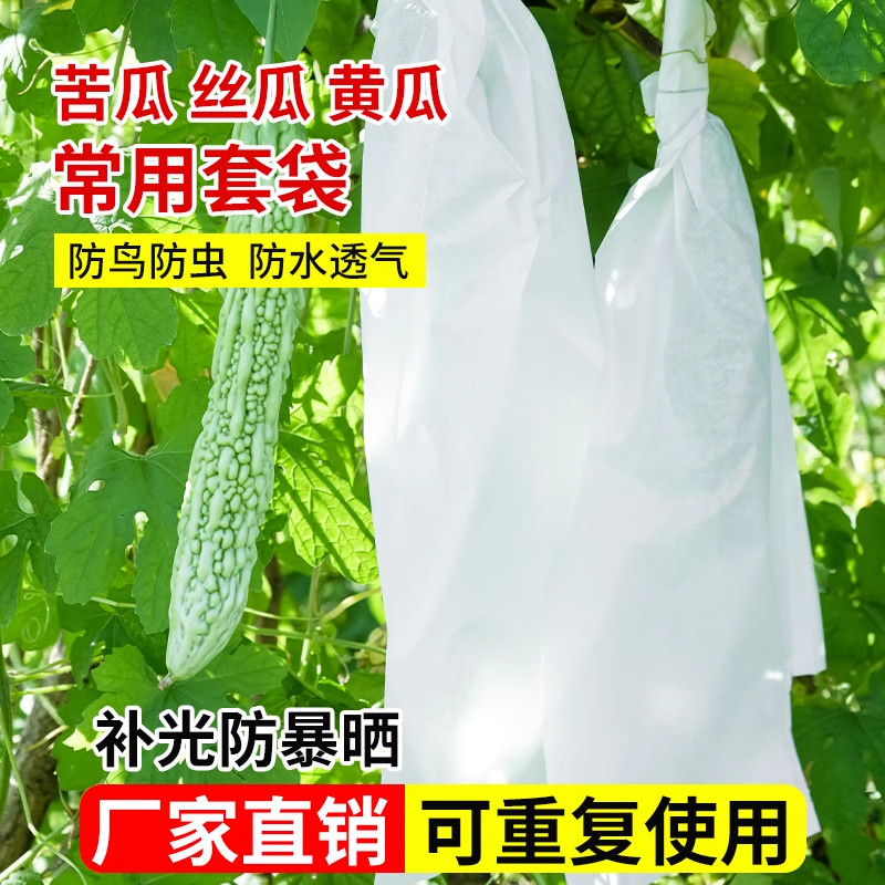 丝瓜黄瓜青瓜苦瓜套袋专用袋防虫袋子保护套纸袋防水瓜果蔬菜水果