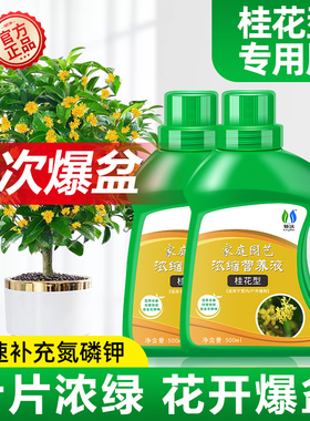 桂花树肥料专用肥营养液植物枯叶病叶子焦尖移栽通用金桂银桂花肥