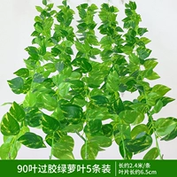 90 листьев над резинкой зеленые листья листья 5