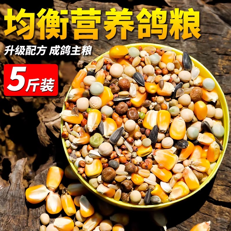 鸽粮鸽食鸽子食粮饲料信鸽赛鸽营养小麦玉米豌豆混合粮食