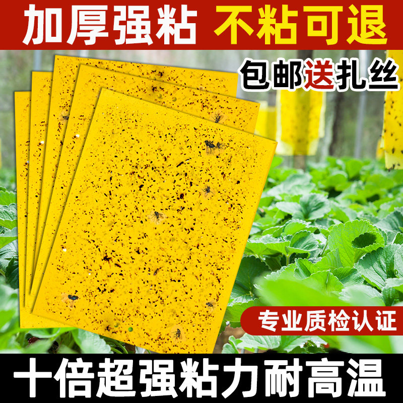 粘虫板黄板双面大棚菜园粘蚊贴苍蝇贴果园粘蝇纸小飞虫果蝇诱捕器