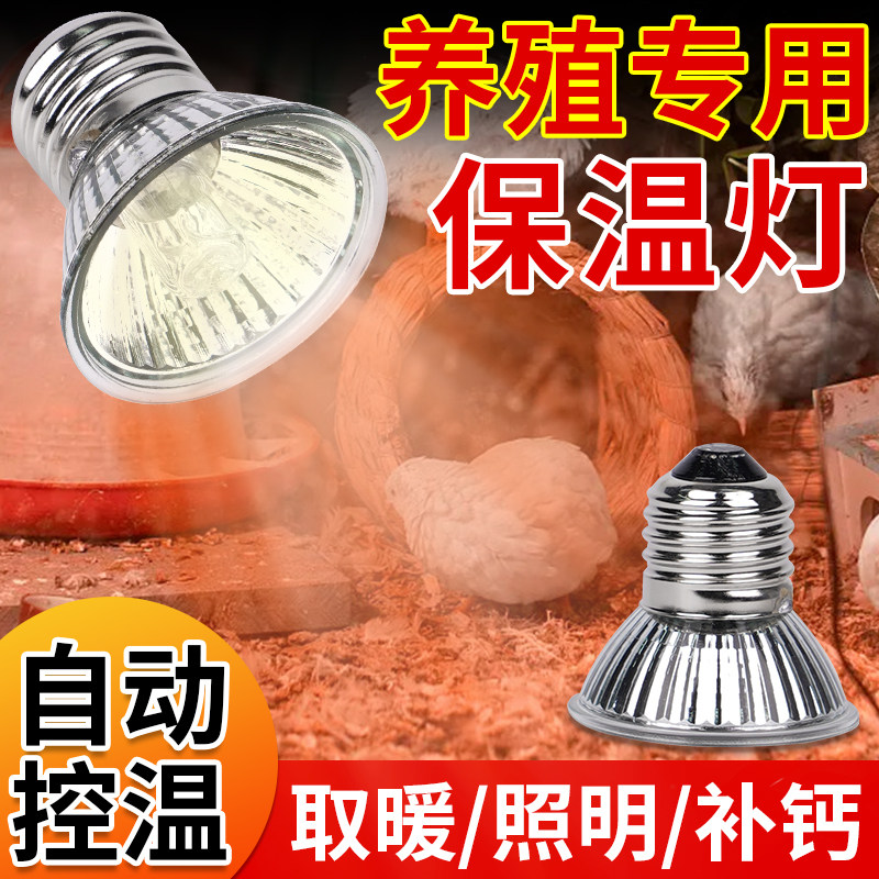芦丁鸡保温灯小太阳育雏取暖灯宠物乌龟晒背保暖灯小鸡用加热灯,家装灯饰光源,其它光源,淘宝优惠券,粉丝福利购,淘宝优惠卷