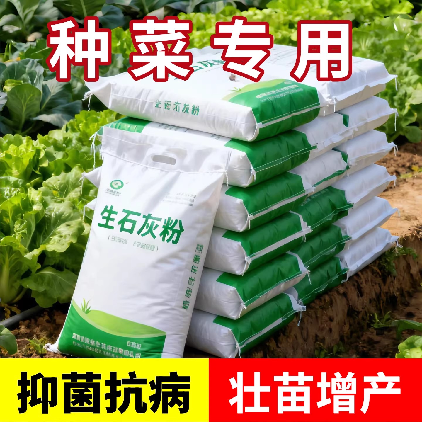 蔬菜专用生石灰粉土壤净化水质菜地除虫杀驱虫改善土壤高纯度种菜