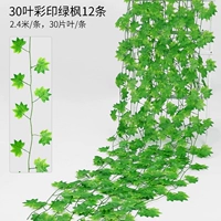 Jiuhong 30 листовых зеленых листьев клена 12