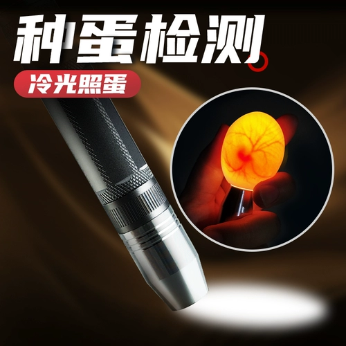 Пожарные из яичных устройств, вспыхивание вылупления яиц, выворот, специальная яичная лампа, яичная лампа, проверка яиц, зарядка светодиода холодного света