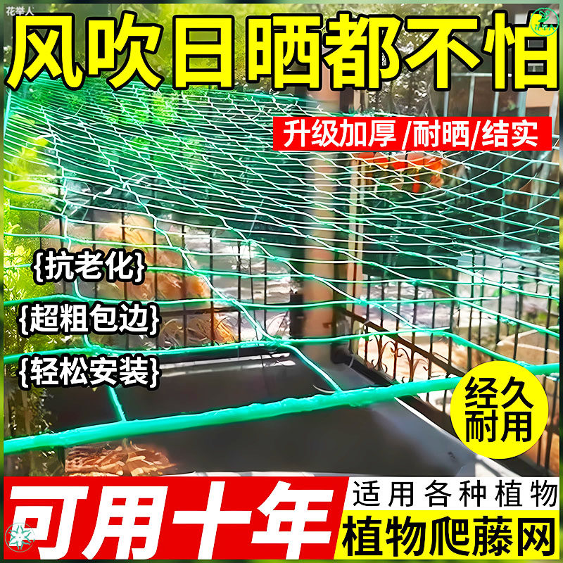 植物爬藤网豆角黄瓜丝瓜吊瓜葡萄苦瓜月季百香果种植网攀爬搭架网