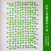 20 листьев маленьких виноградных листьев 12