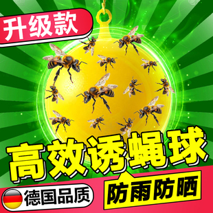 果蝇诱捕器粘虫球丝瓜果实蝇贴诱蝇球针蜂马蜂色引诱剂果园黏蝇球
