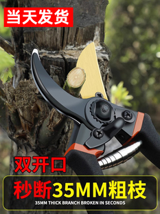 德国精工艺园剪刀剪树枝专用剪刀修枝剪园林果树修花家用粗枝剪子