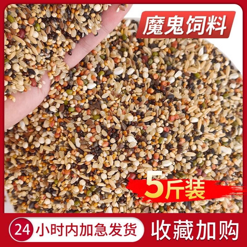幼鸽饲料斑鸠专用型营养食物天然五谷杂粮去壳无玉米小颗高粱饲料