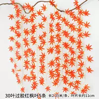 Красные 30 листьев на клей красные кленовые листья 5