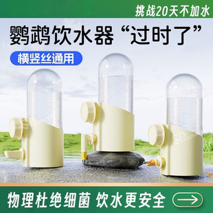 新款鹦鹉自动喂水器鸟用饮水器横丝鸟笼鸟食盒挂式喂食器撞针水壶