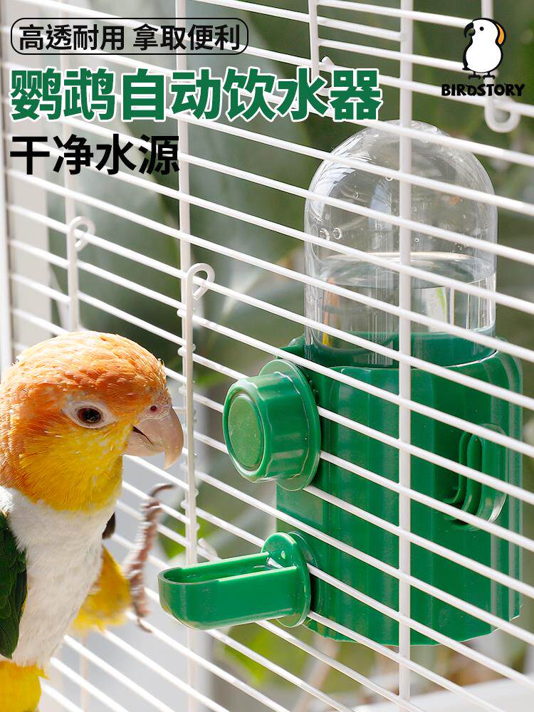 鹦鹉小鸟饮水器自动喂水撞针水壶鸟用悬挂喂食器防溅喝水器喂水器