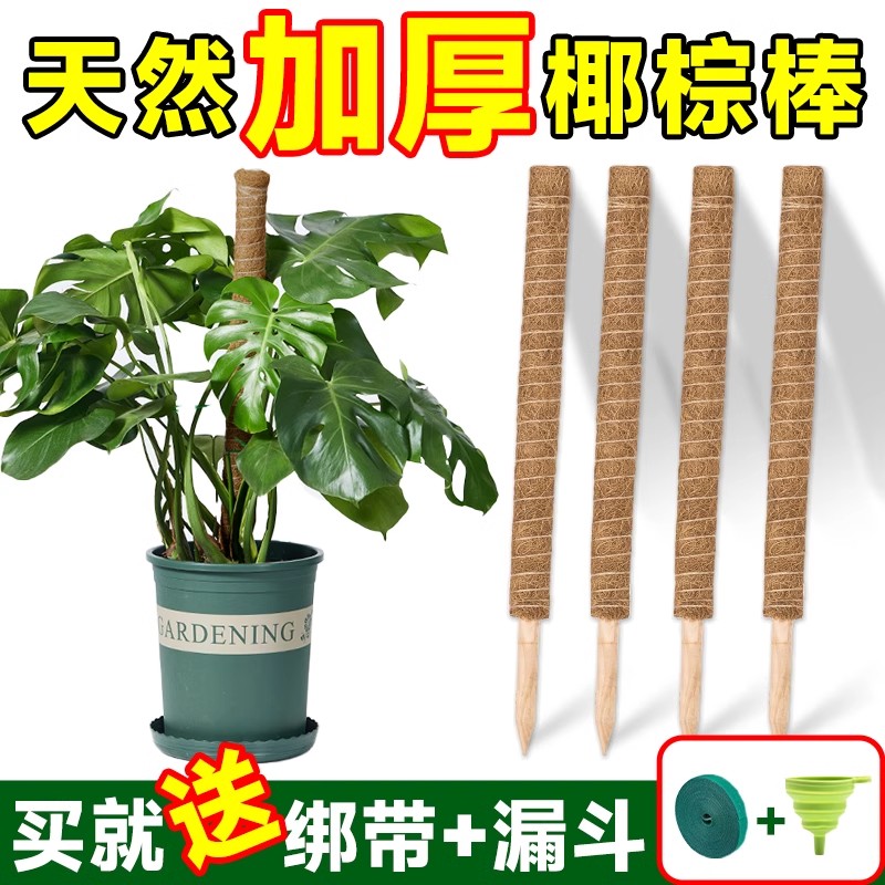 龟背竹支撑杆棕棒椰棕柱盆栽绿萝花架子攀爬藤杆植物绿箩爬上神器