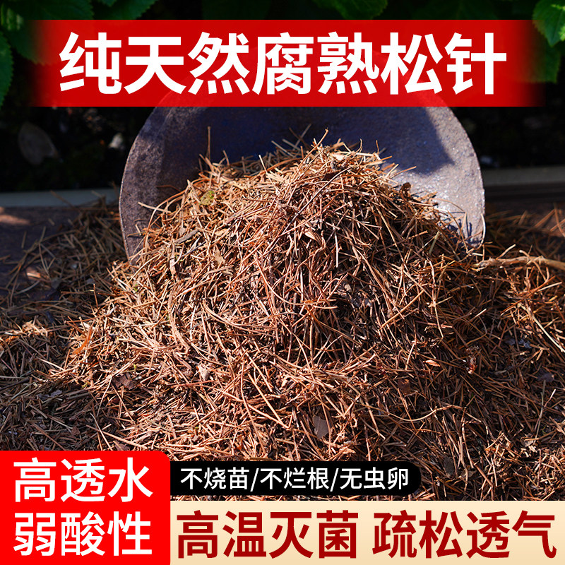 纯松针腐熟纯天然腐殖土发酵垫材君子兰花专用土养花通用营养土