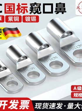 德国窥口冷压端子SC4/6/8/10/25平方紫铜线鼻子国标线耳电缆接头