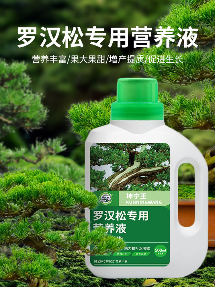 罗汉松专用肥营养液有机肥料泰山松雀舌四季大阪松树盆栽景通用型
