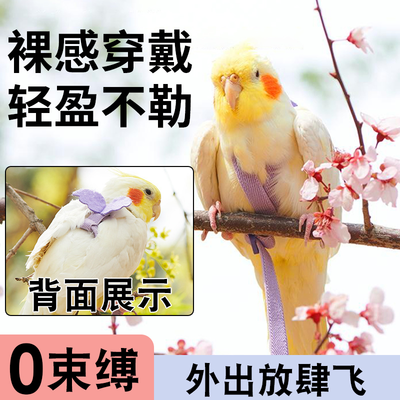 鹦鹉牵引绳超轻不勒外出背