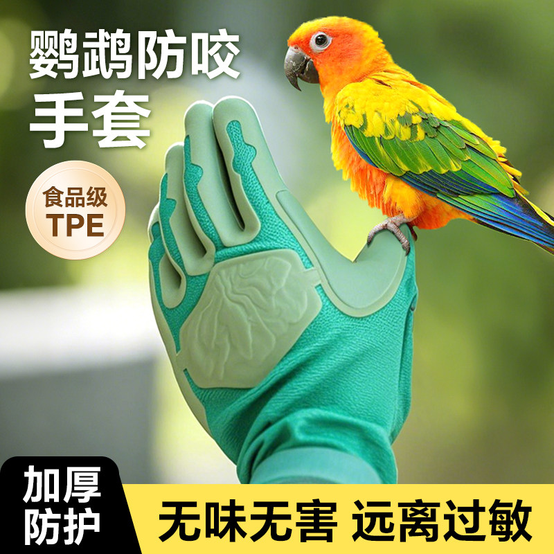 鹦鹉防咬手套专业防抓加厚灵活喂食训鸟防护磨砂防滑透气耐咬乳胶