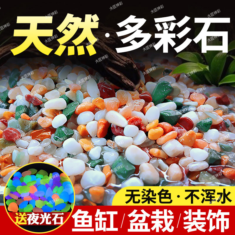 天然雨花石五彩石鱼缸造景原石铺底五花石火山石装饰底部砂石头子,鲜花速递/花卉仿真/绿植园艺,土壤覆盖物,淘宝优惠券,粉丝福利购,淘宝优惠卷