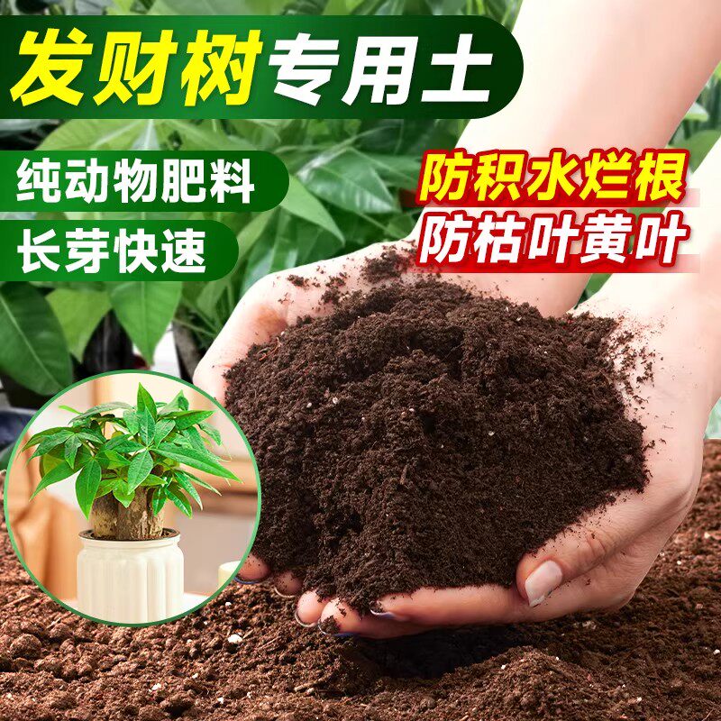 发财树专用土营养土养花通用有机花卉土壤植物通用型家用泥土种植
