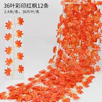 Арбуз красный 36 листьев красные кленовые листья 12