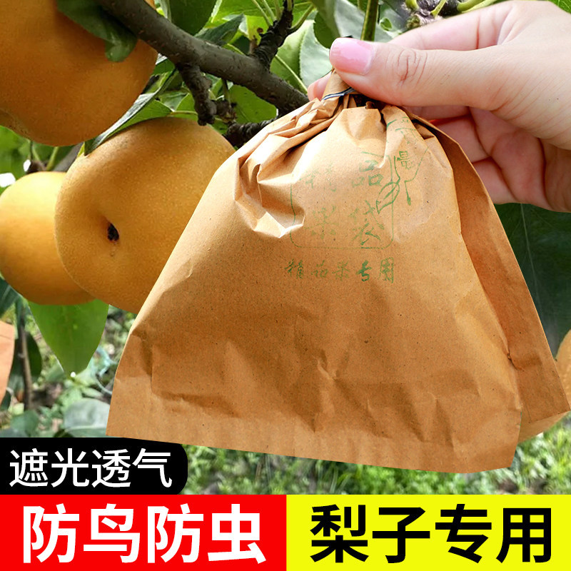 防雨水防虫鸟透气苹果枇杷袋梨子专用套袋桃石榴芒果纸袋黄桃西瓜
