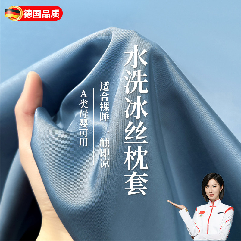 德国夏季枕套冰丝枕头套凉感冰感枕套一对装家用单个枕芯内胆套枕
