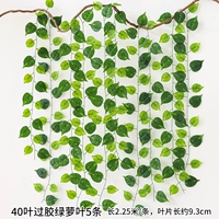 Флуоресцентные зеленые 40 листьев на листьях зеленых листьев клей