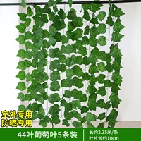 Синий 44 листья листья винограда 5