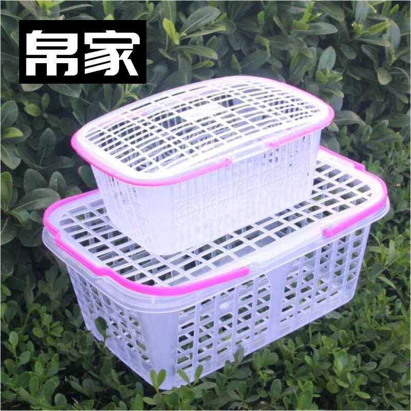 塑料水果篮子带盖草莓筐杨梅篮桑葚葡萄果园手提篮白色新料水果