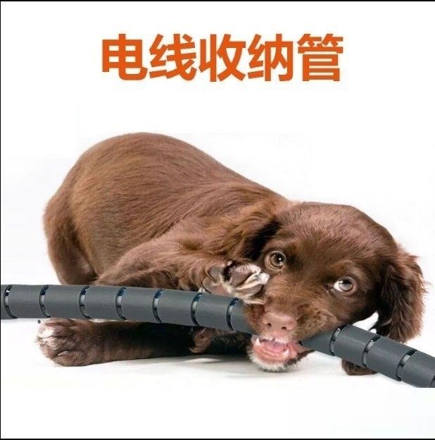 啃。。。电线防咬防止套防猫咬 电源线防止隐藏狗狗宠物兔子保护,收纳整理,理线器/集线器/绕线器,淘宝优惠券,粉丝福利购,淘宝优惠卷