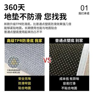 门口地垫进门家用客厅可擦洗轻奢高级地毯耐脏入户门地垫2024新款