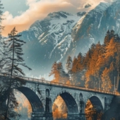 333联盟升高账号